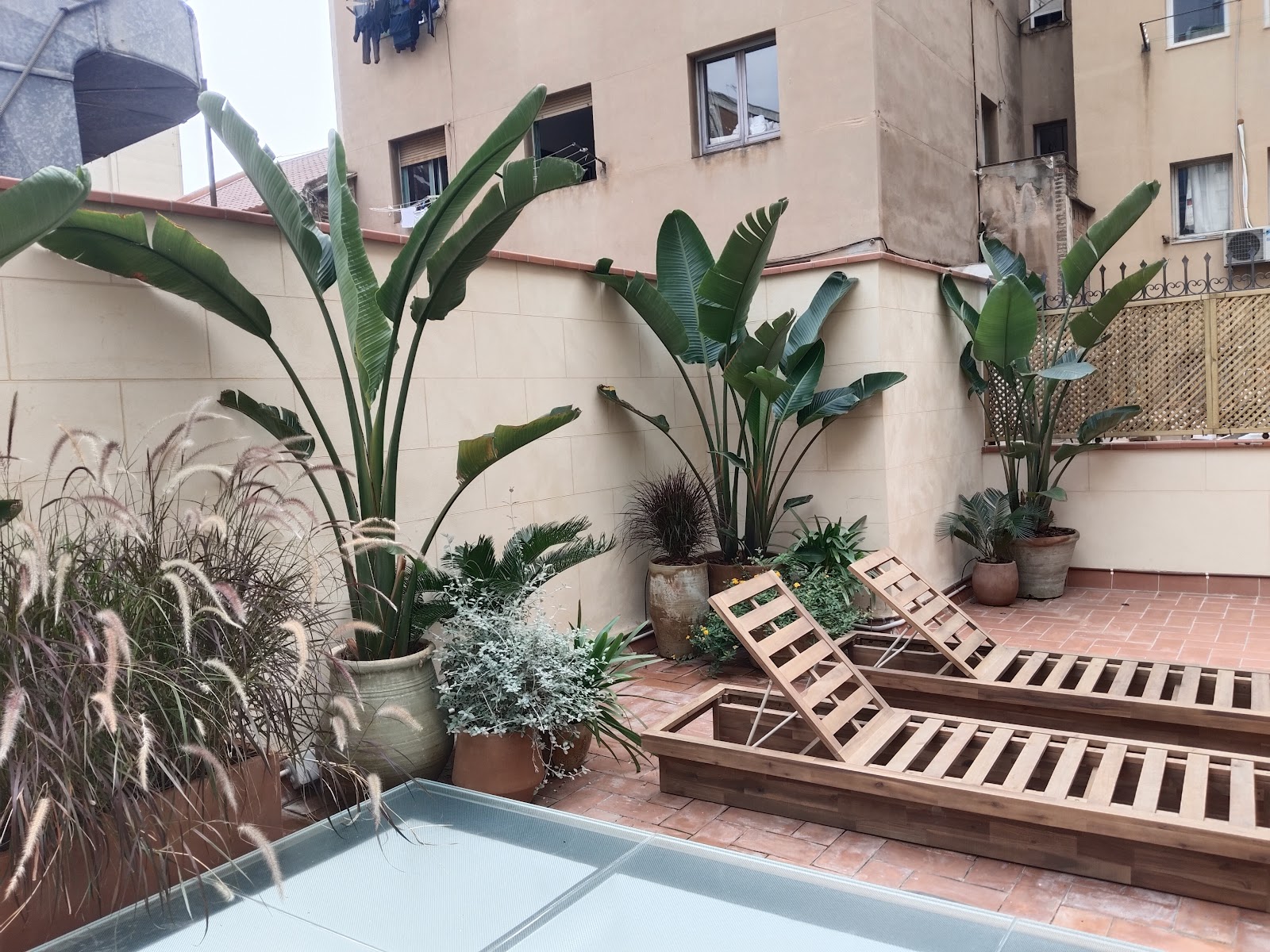 Jardín contemporáneo con piscina